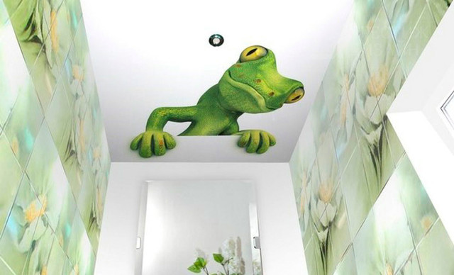 Spanndecke Motiv